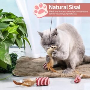 Cat Feather Toy Set: Interactive Cat Wand Toys for Playful Kittens