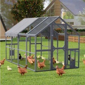 Outdoor Chicken Coop Fence